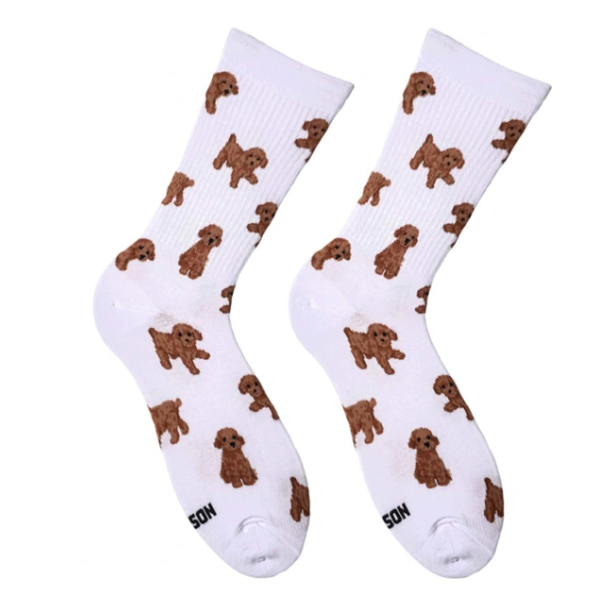 White Maltipoo socks - pair with curly caramel-brown maltipoo puppies, front view