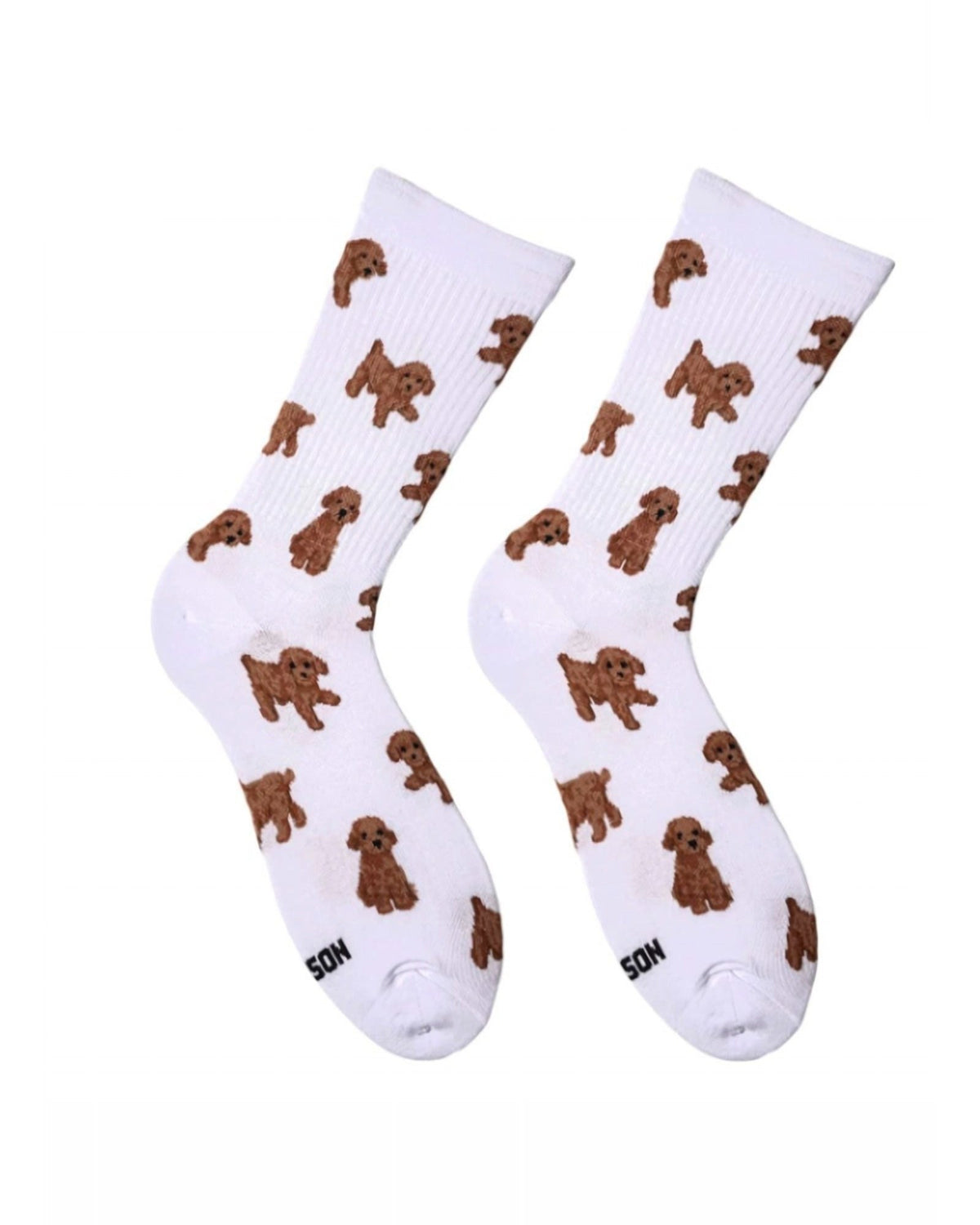 White Maltipoo socks - pair with curly caramel-brown maltipoo puppies, front view