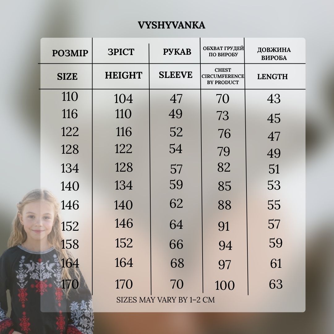 Vyshyvanka "Dyvoptakh" black