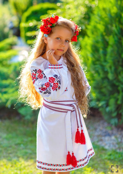 Vyšyvankos suknelė „Solomiya“