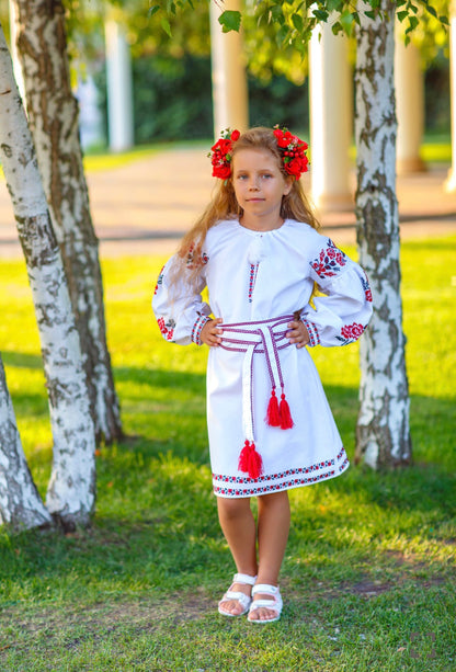 Vyšyvankos suknelė „Solomiya“