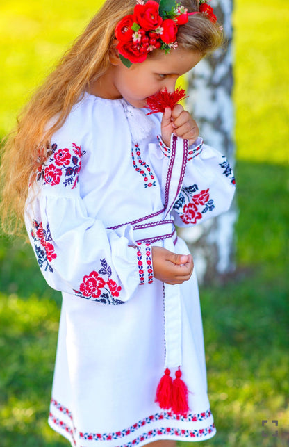 Vyšyvankos suknelė „Solomiya“