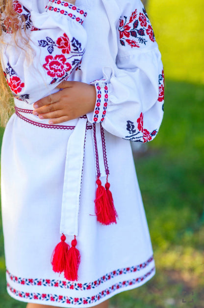 Vyšyvankos suknelė „Solomiya“