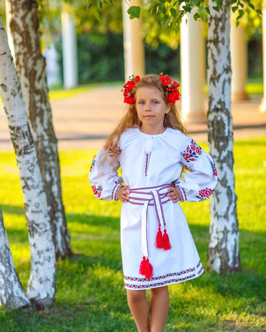 Vyšyvankos suknelė „Solomiya“