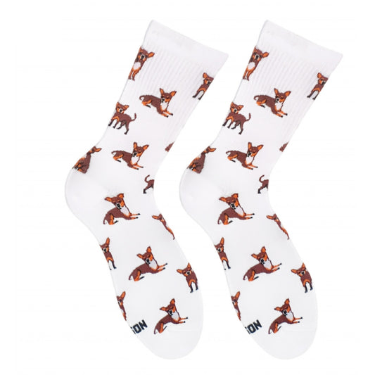 White Chihuahua socks - pair with chihuahua dog design, front view