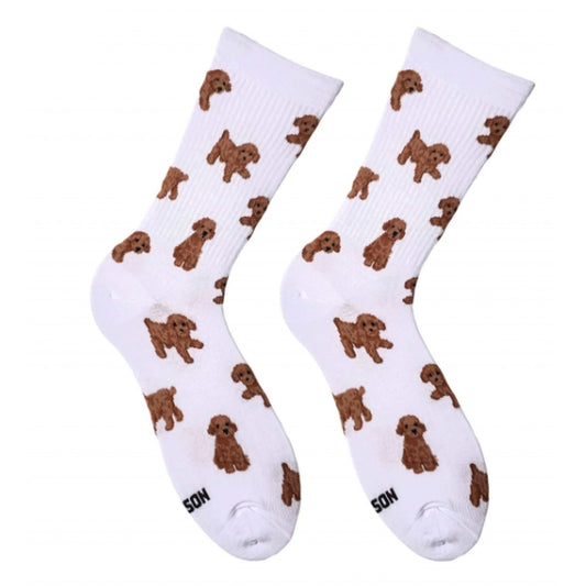 White Maltipoo socks - pair with curly caramel-brown maltipoo puppies, front view
